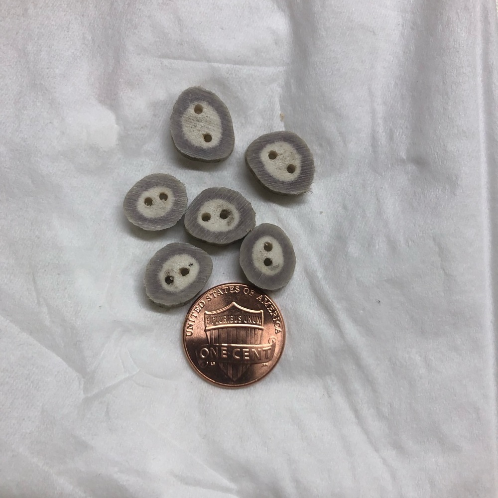 Rustic Men’s Wear Shed Horn Buttons